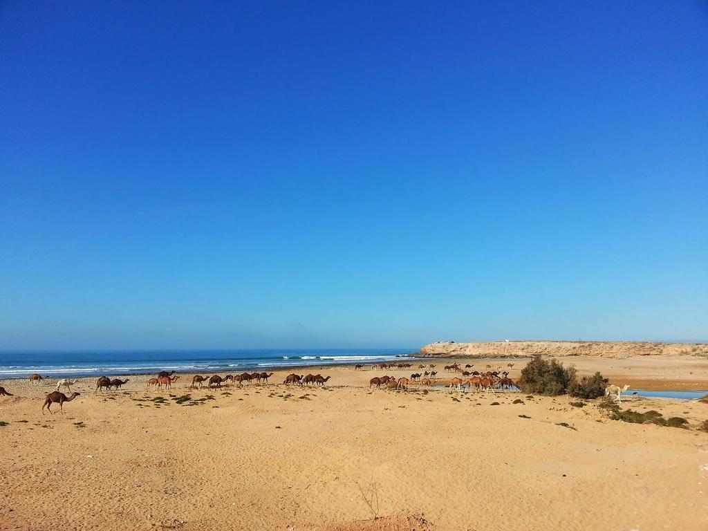 Zen Surf Beach House Hotel Aourir Buitenkant foto